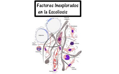 Factores inexplorados en la escoliosis